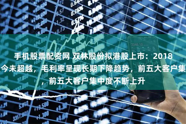 手机股票配资网 双林股份拟港股上市：2018年营收高点至今未超越，毛利率呈现长期下降趋势，前五大客户集中度不断上升