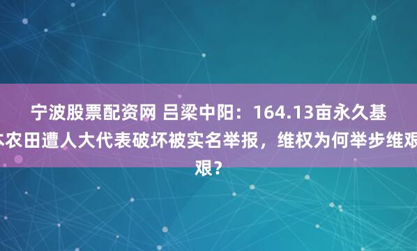 宁波股票配资网 吕梁中阳：164.13亩永久基本农田遭人大代表破坏被实名举报，维权为何举步维艰？
