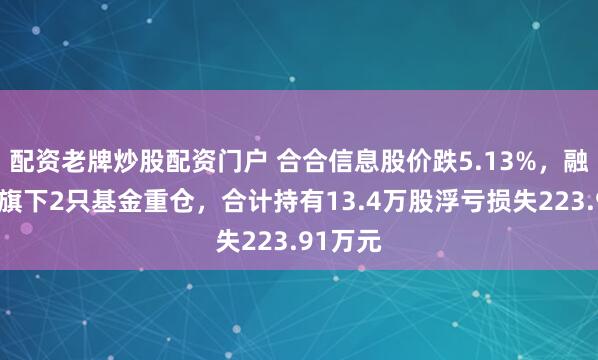 配资老牌炒股配资门户 合合信息股价跌5.13%，融通基金旗下2只基金重仓，合计持有13.4万股浮亏损失223.91万元