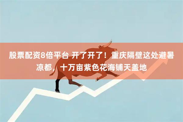 股票配资8倍平台 开了开了！重庆隔壁这处避暑凉都，十万亩紫色花海铺天盖地